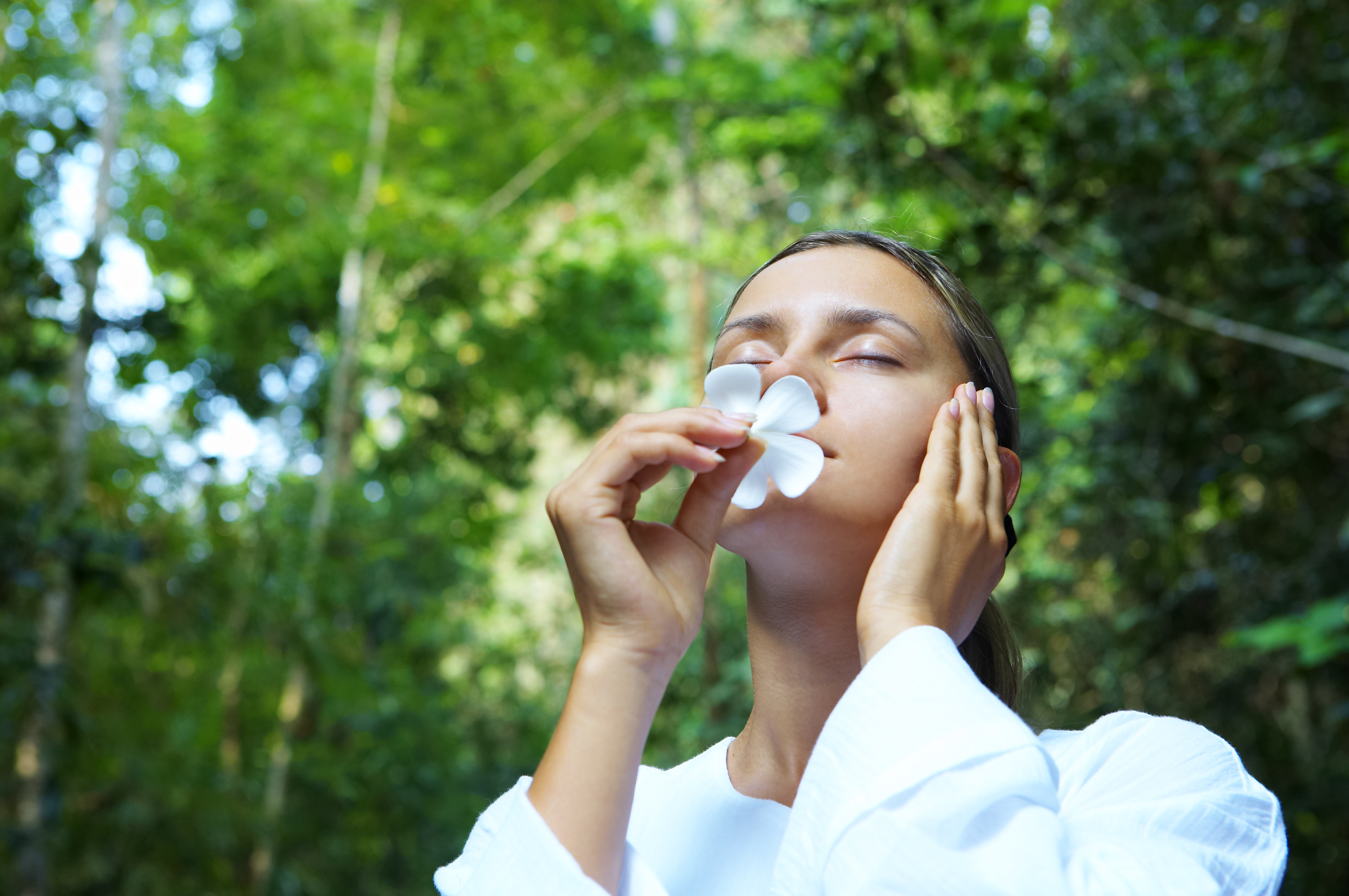 Natürlich wirksam: Medizin aus dem Regenwald